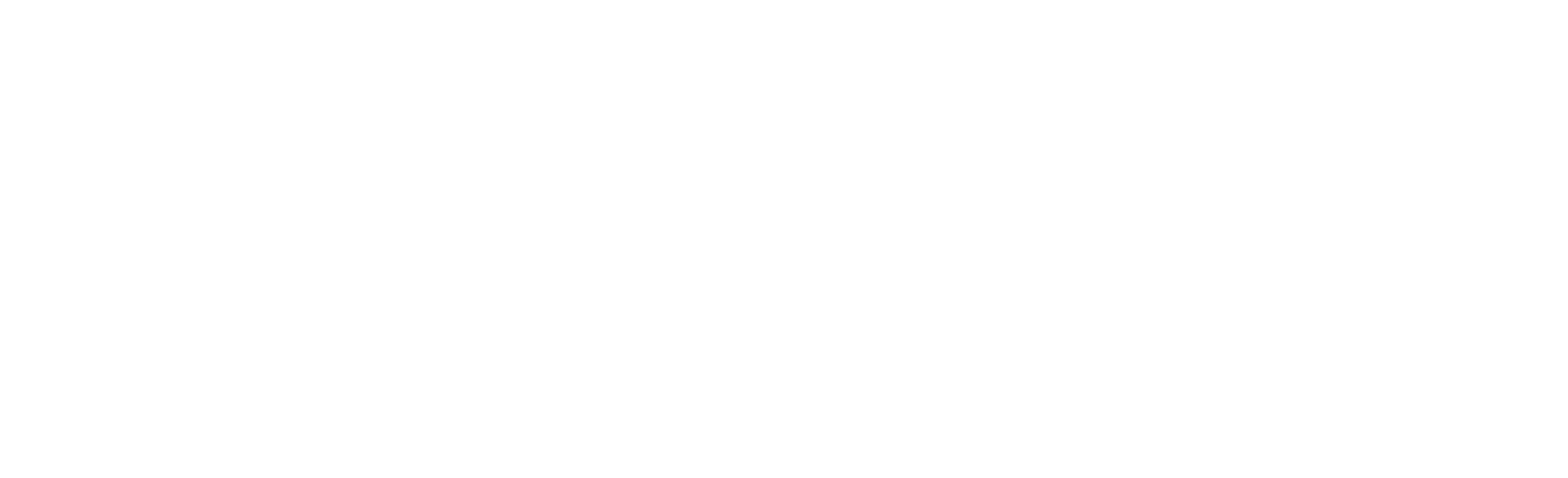 Cross Discipline_Logo_w