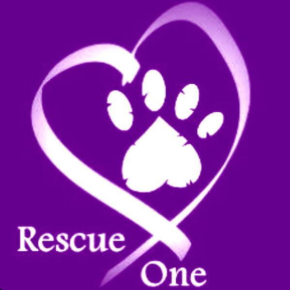 rescue one logo
