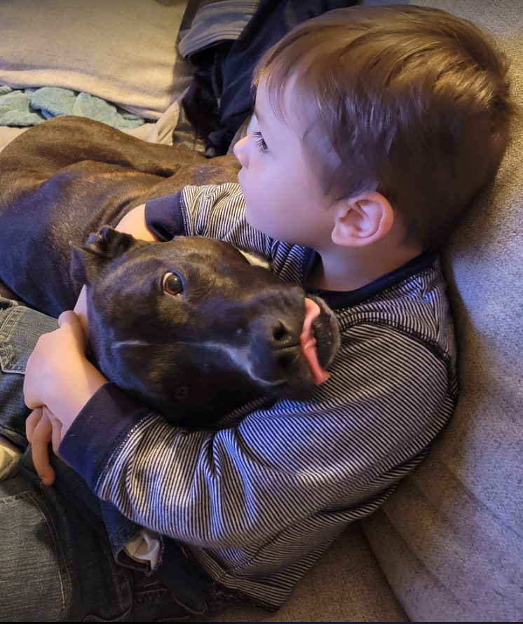 Phillip's son Atticus and his favorite paw-pal, enjoying snuggles on the 
couch.