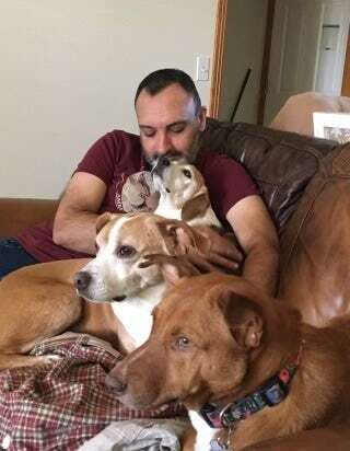 He has three dogs who are the center of his universe.