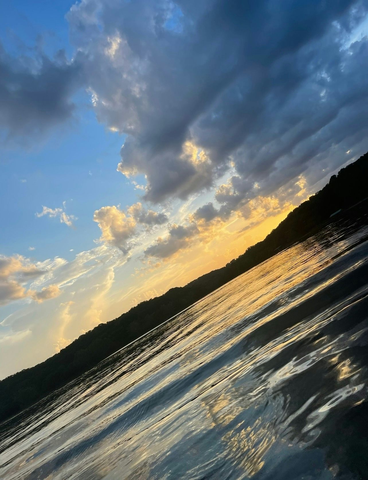 They LOVE Table Rock Lake!