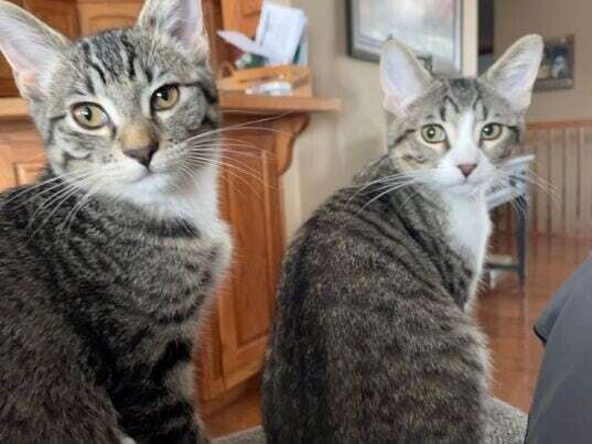 The ones that actually run the house.