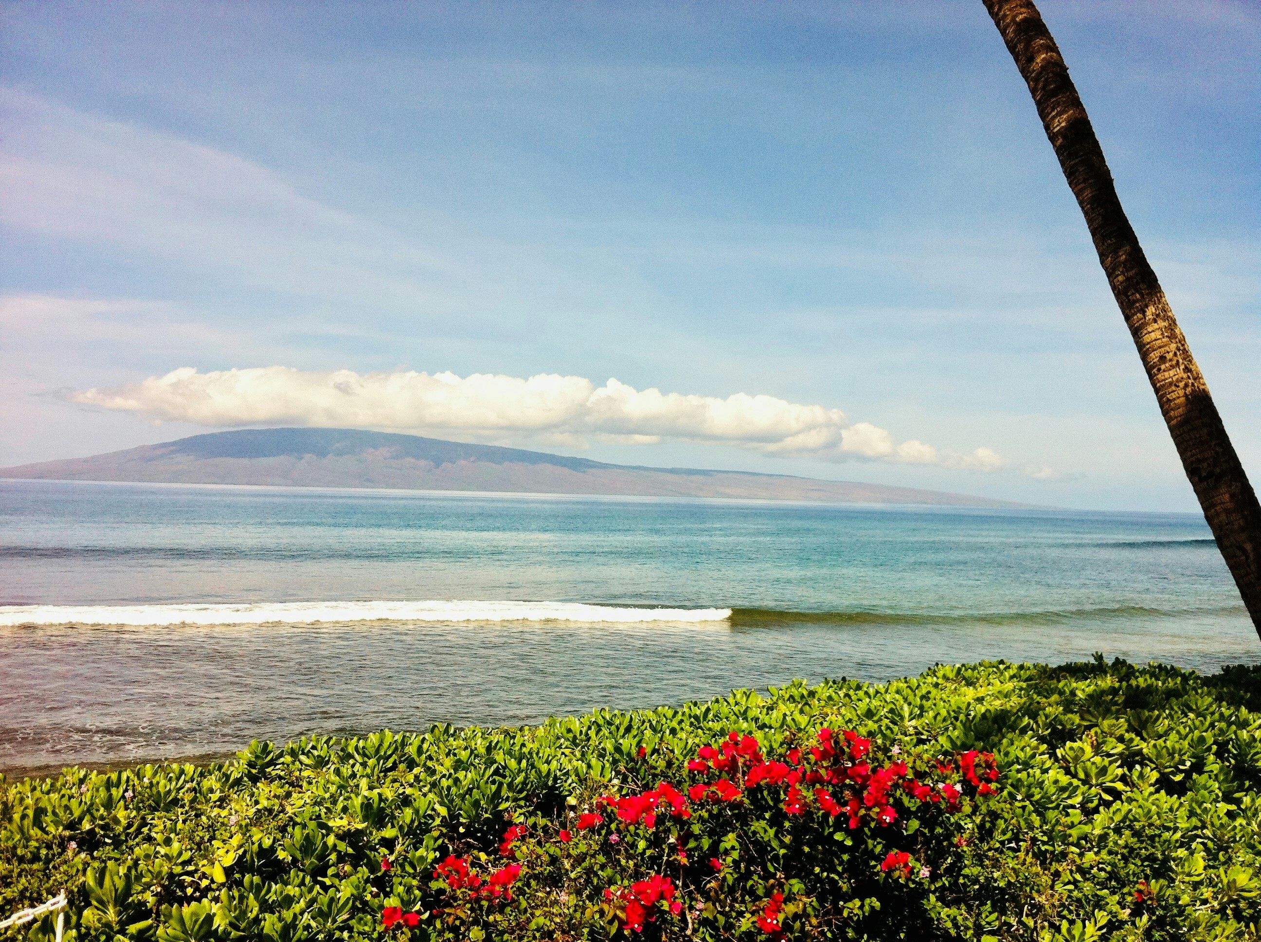 Who doesn't love a good ocean view?