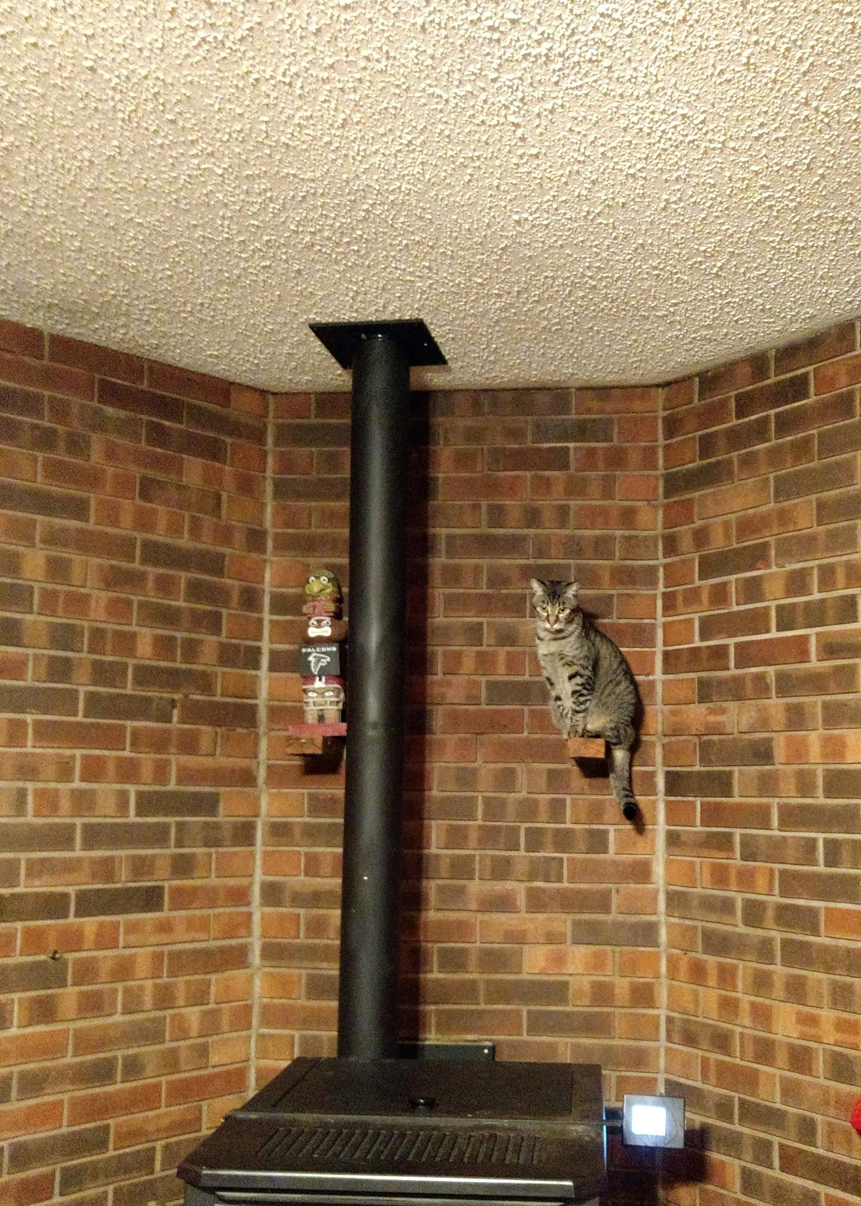 Karen finds her cats in interesting places from time to time.